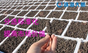 大家都用重量分揀機分選海參了！您還在用人工分選嗎？
