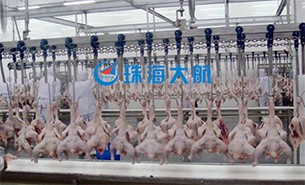 重量分揀設備如何實現(xiàn)整雞分選？