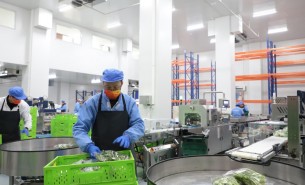 蔬菜配重機(jī)：解決人工成本與效率問(wèn)題，助力蔬菜加工發(fā)展